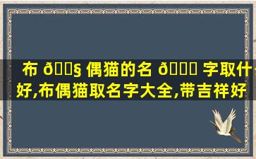 布 🐧 偶猫的名 💐 字取什么好,布偶猫取名字大全,带吉祥好运的
